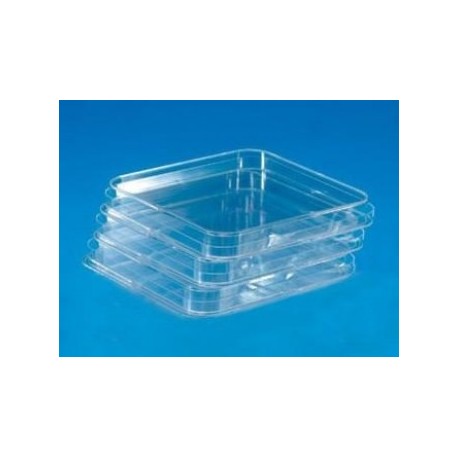 Caja petri cuadrada esteril 12*12cm